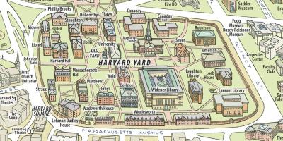 Карта Гарвардскага універсітэта